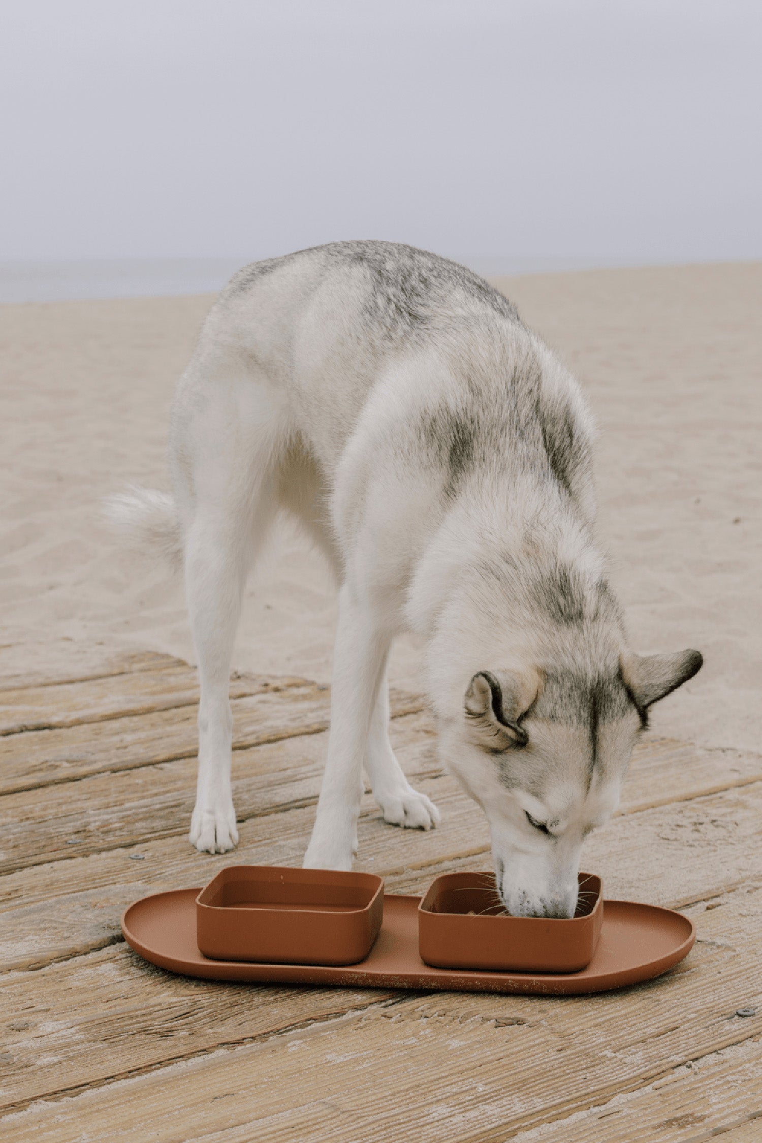 Maxbone Square Bowl