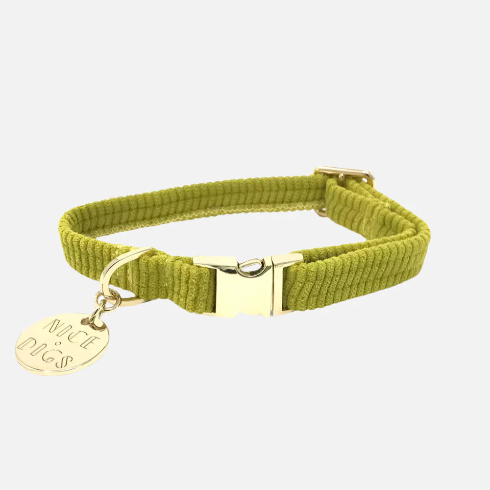 Nice Digs Fabric Collar