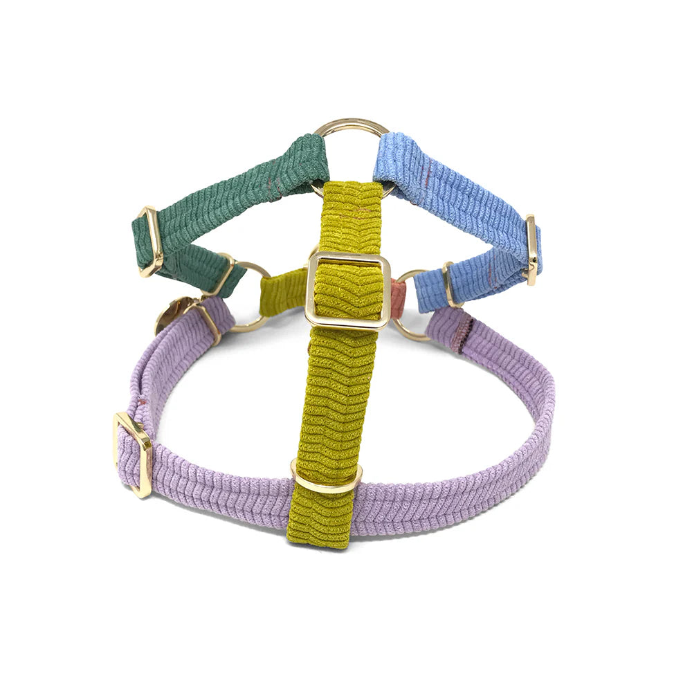 Nice Digs Harness