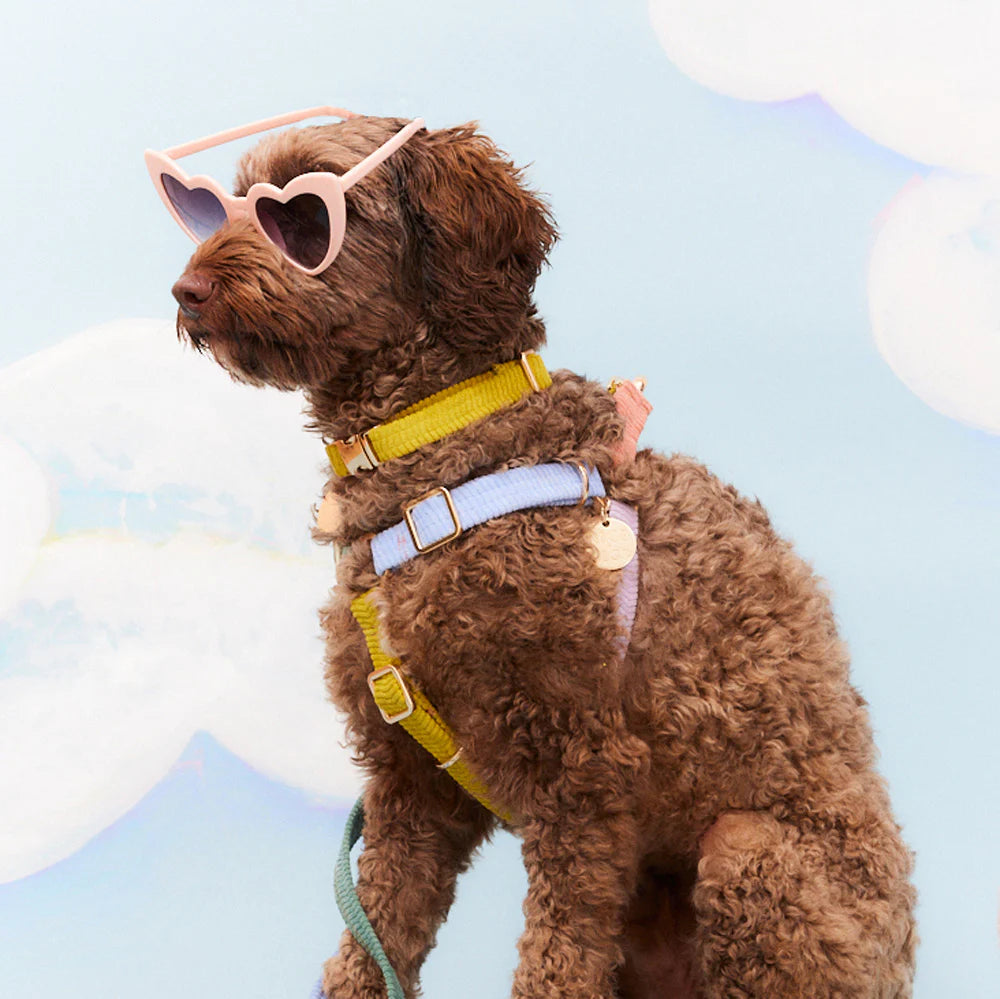 Nice Digs Harness
