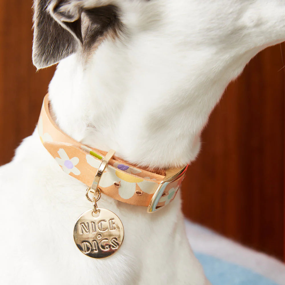 Nice Digs Posie Leather Collar - Spring