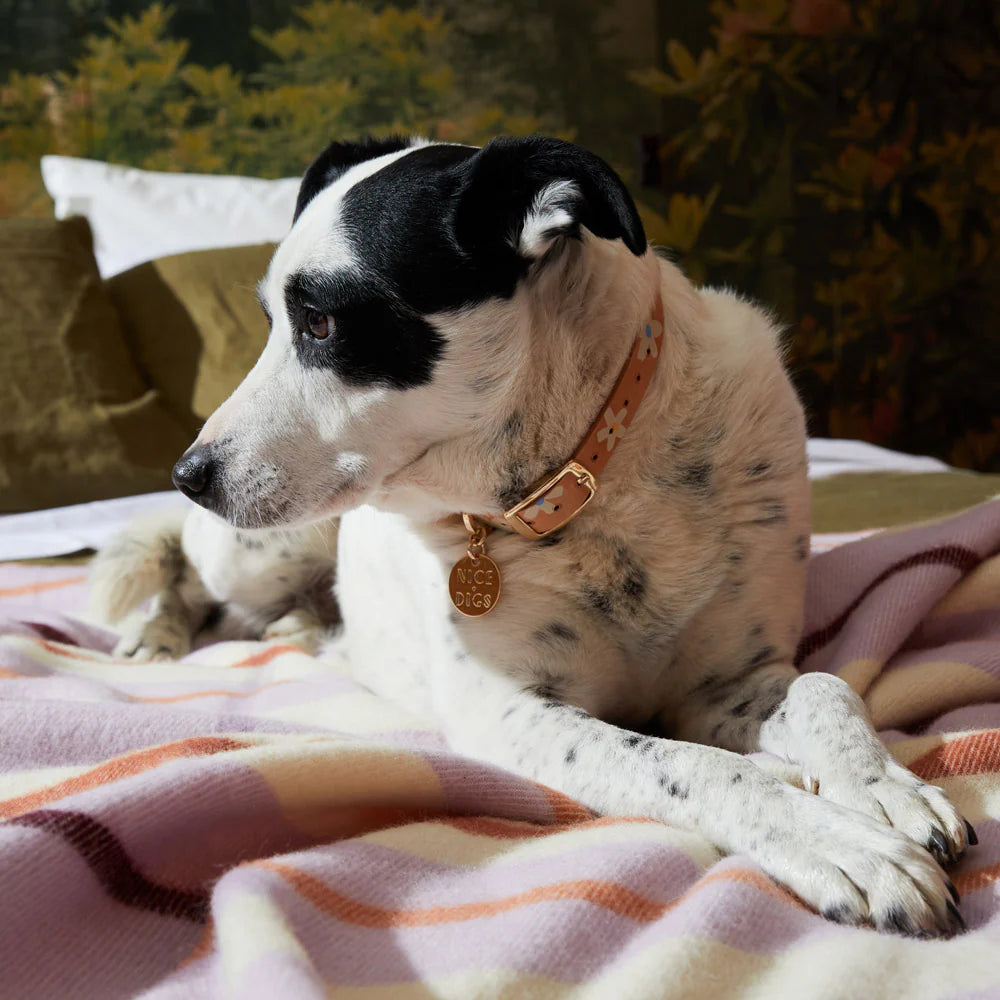 Nice Digs Posie Leather Collar - Spring
