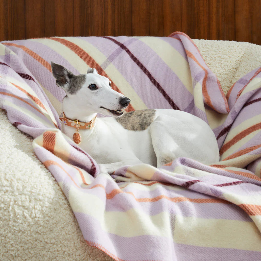 Nice Digs Posie Leather Collar - Spring