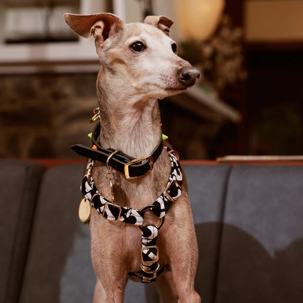 Nice Digs Harness