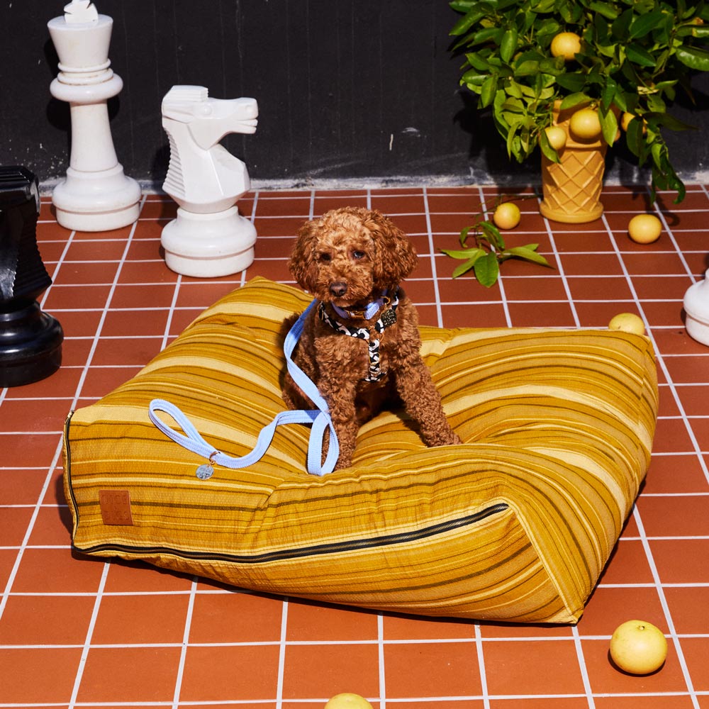 Nice Digs Fabric Dog Leash