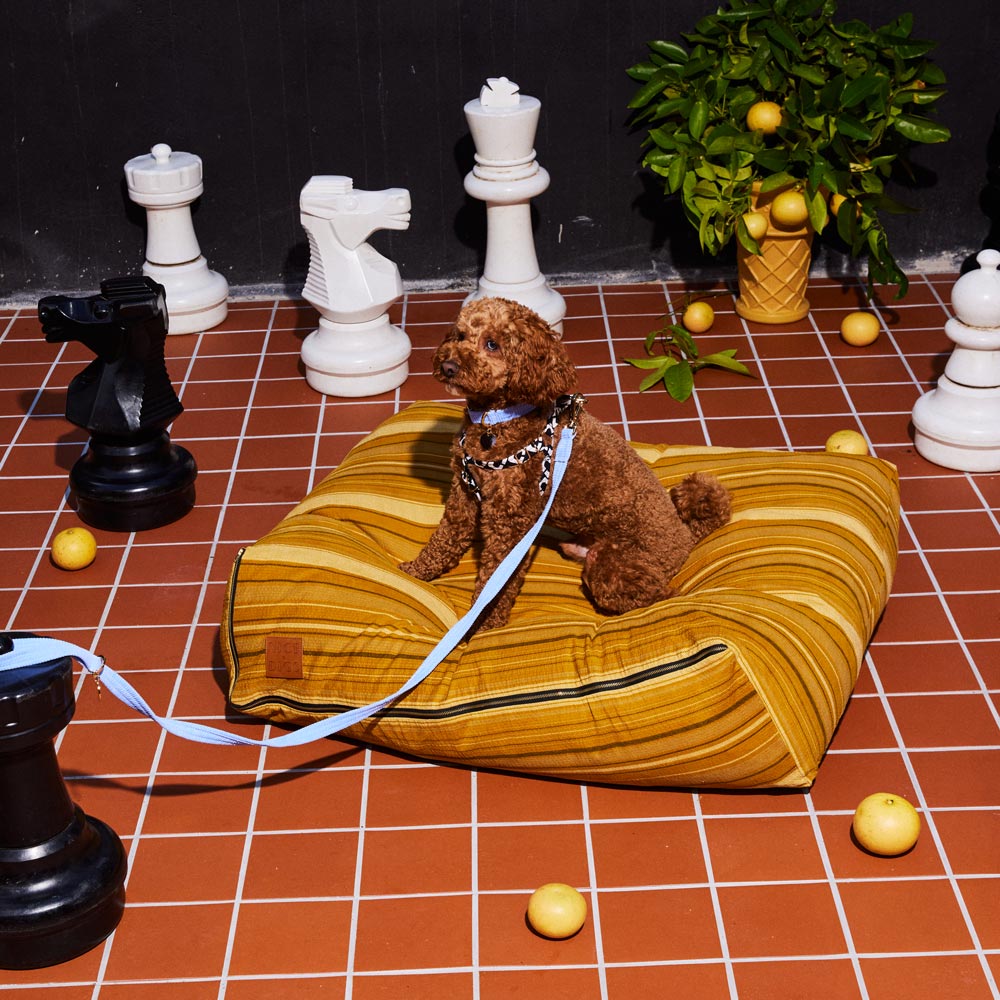 Nice Digs Fabric Dog Leash