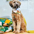 Nice Digs Fabric Dog Leash