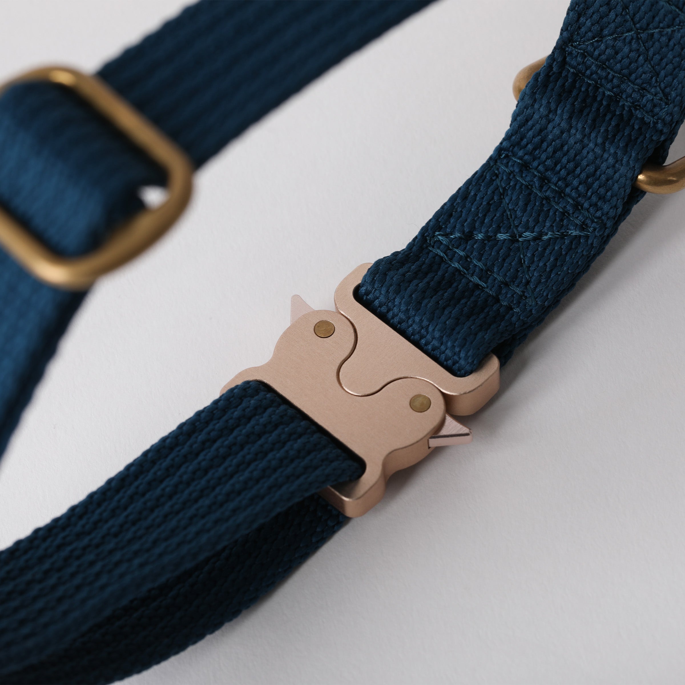 Paw Print Tide Collar Ocean