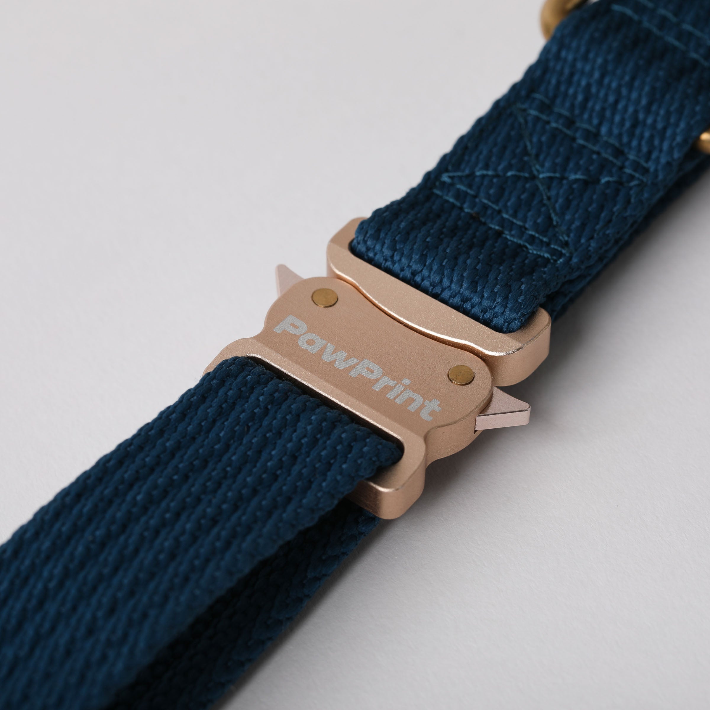 Paw Print Tide Collar Ocean
