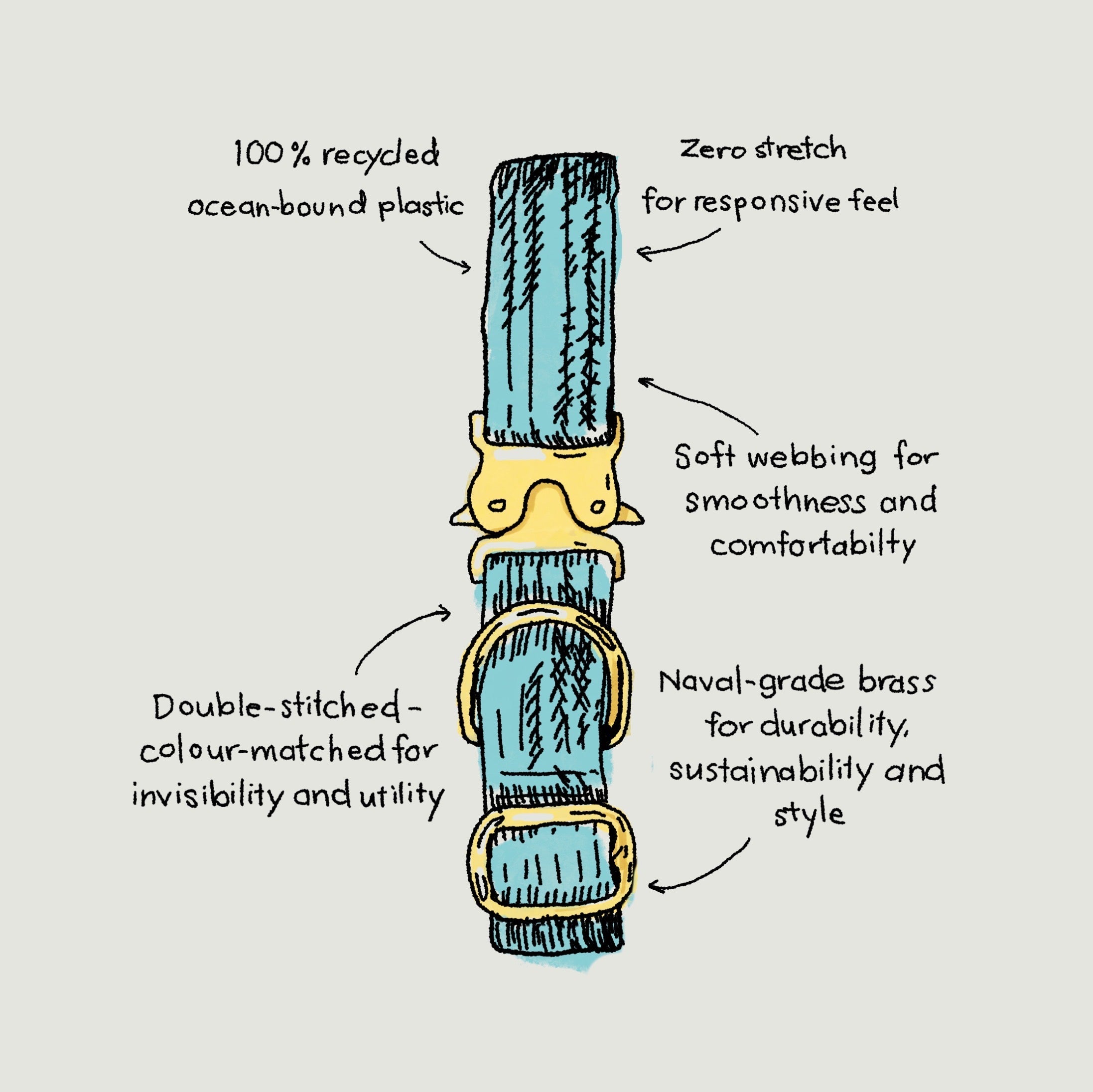 Paw Print Tide Collar Ocean