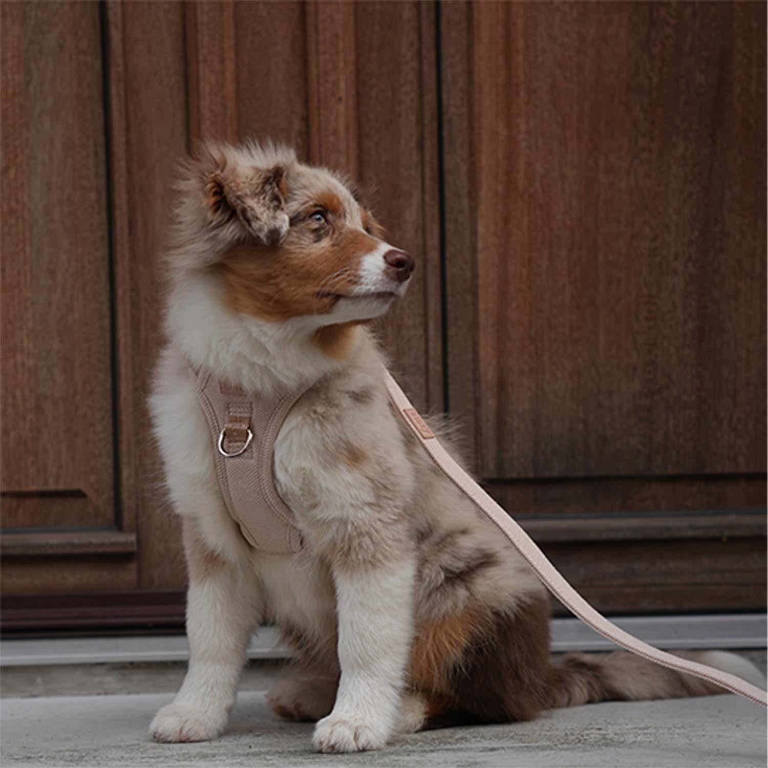 Staey - Elma Active Harness