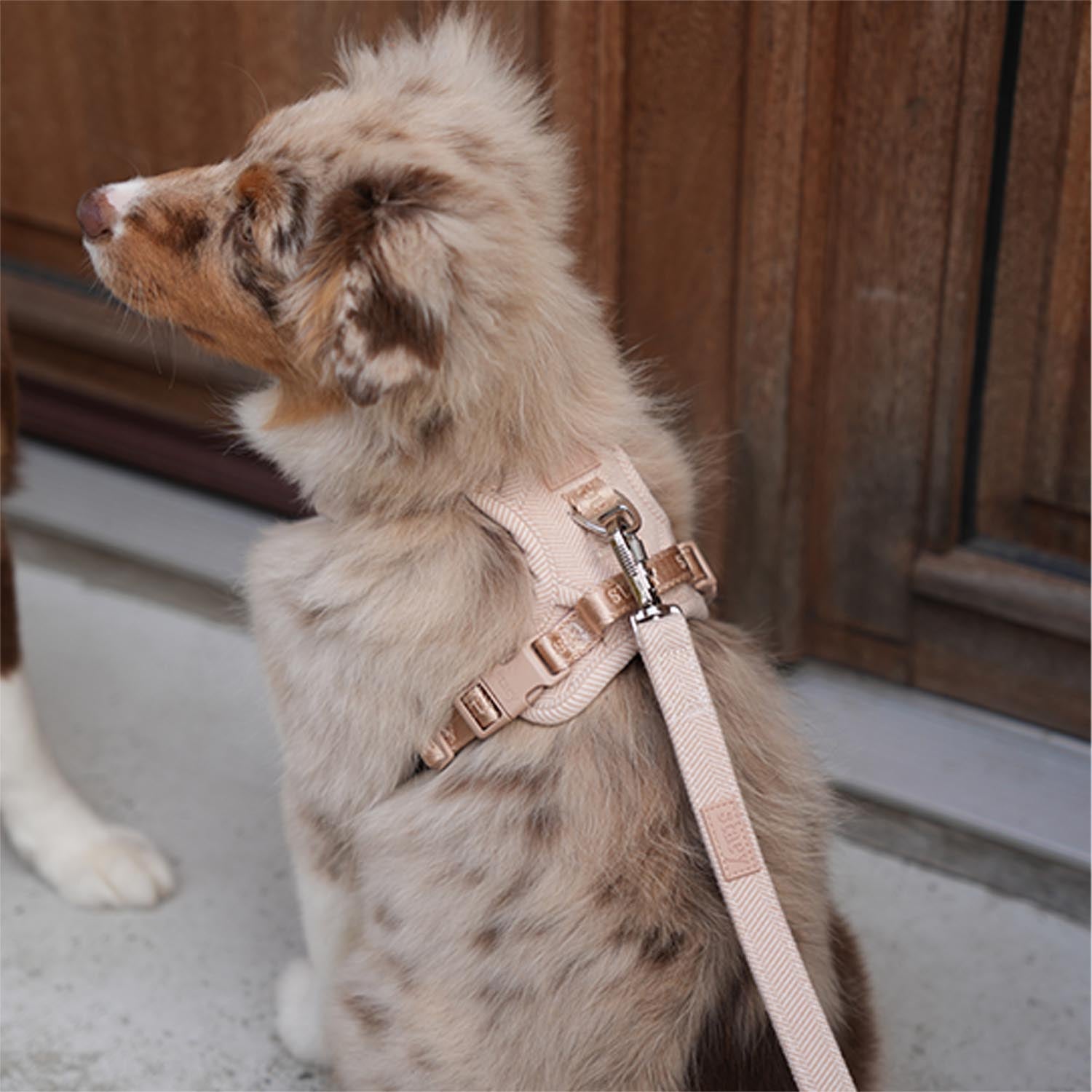 Staey - Elma Active Harness