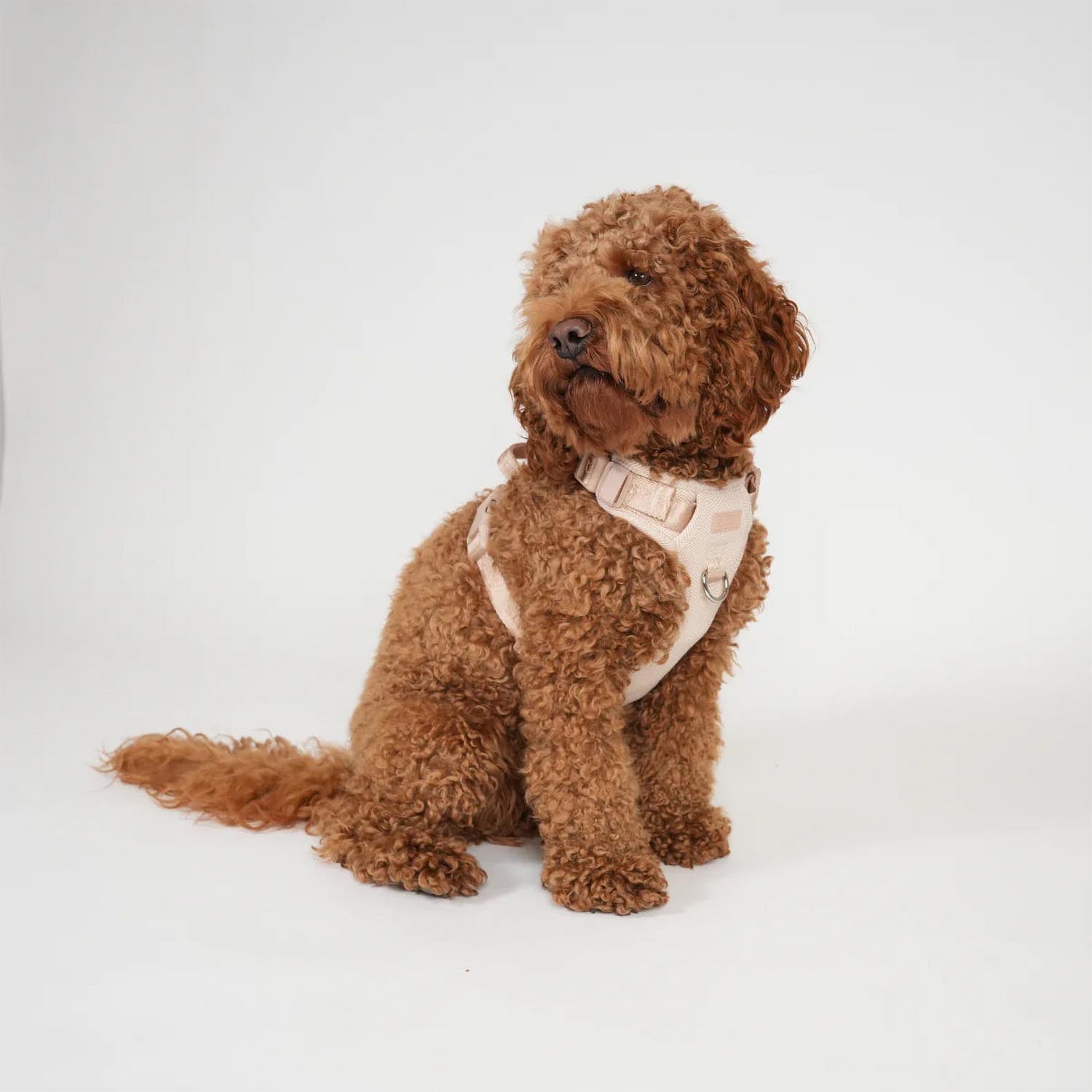Staey - Elma Active Harness