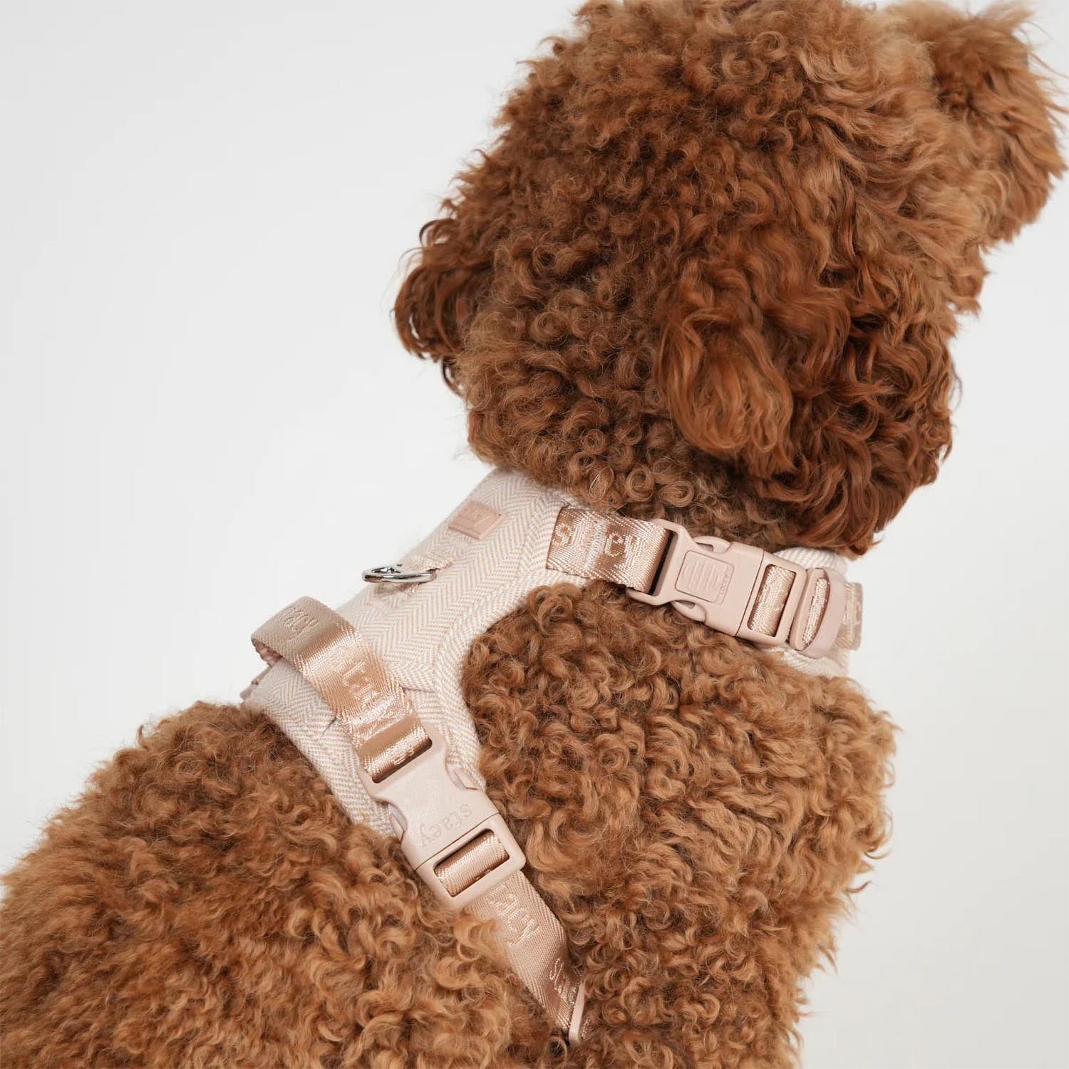 Staey - Elma Active Harness
