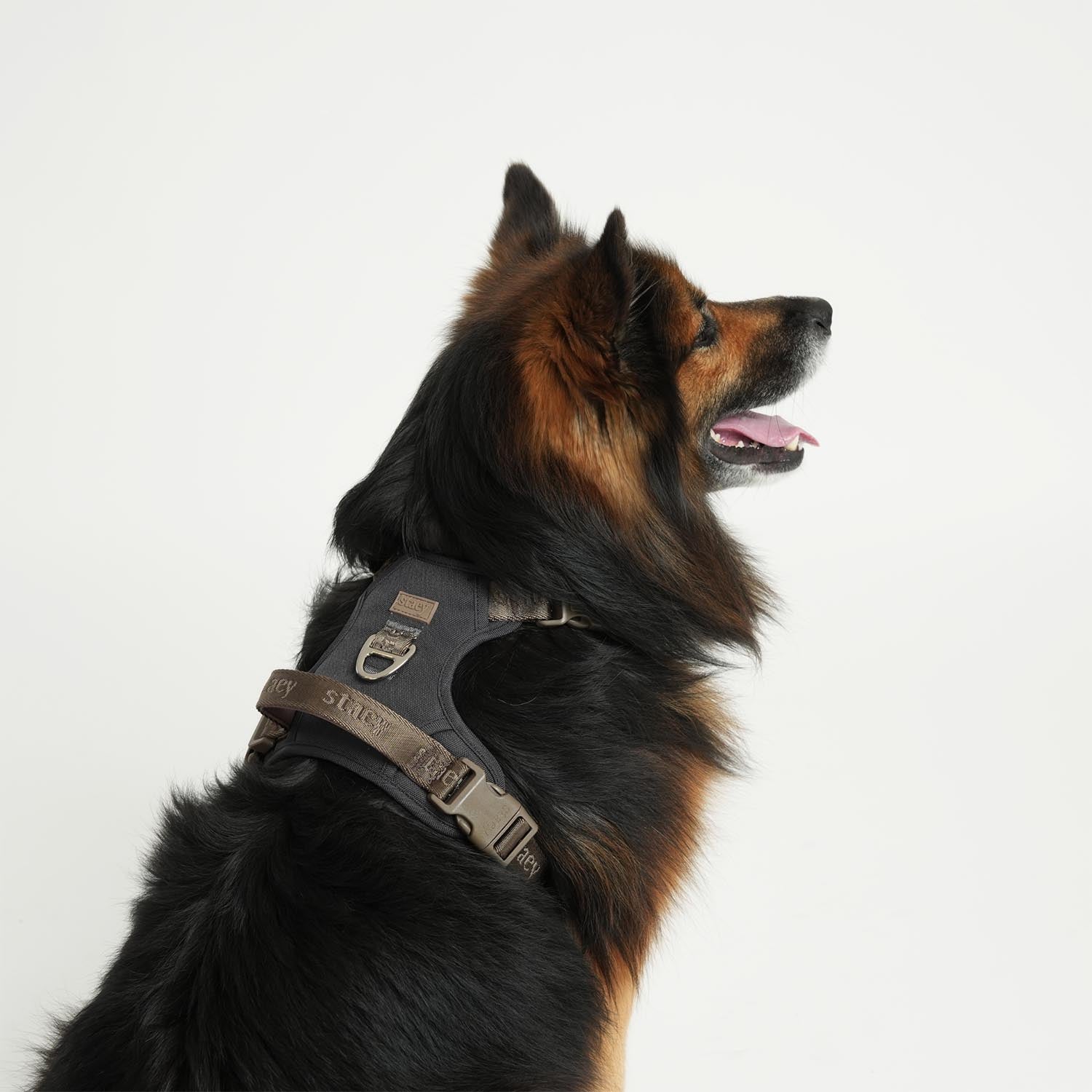 Staey - Elma Active Harness
