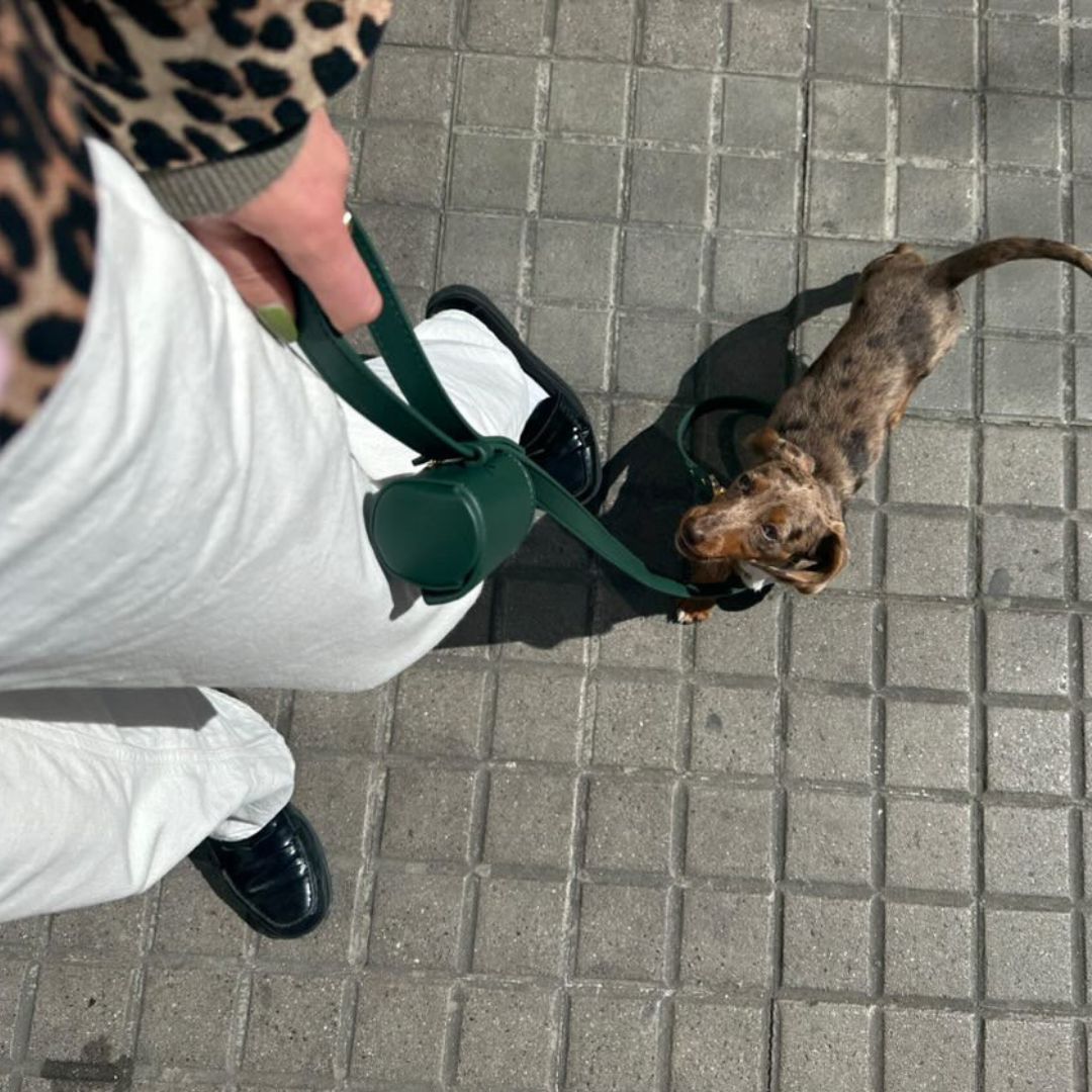 St Argo Poop Bag Holder