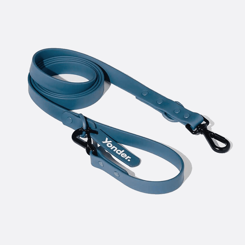 Yonder Lead