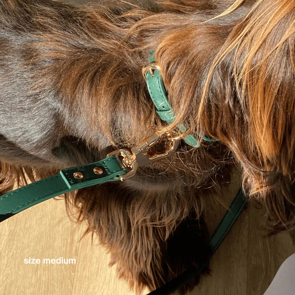 St Argo Collar