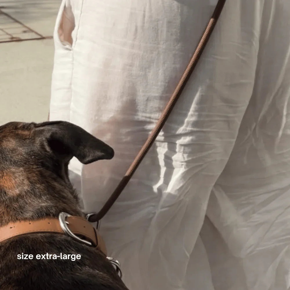 St Argo Collar