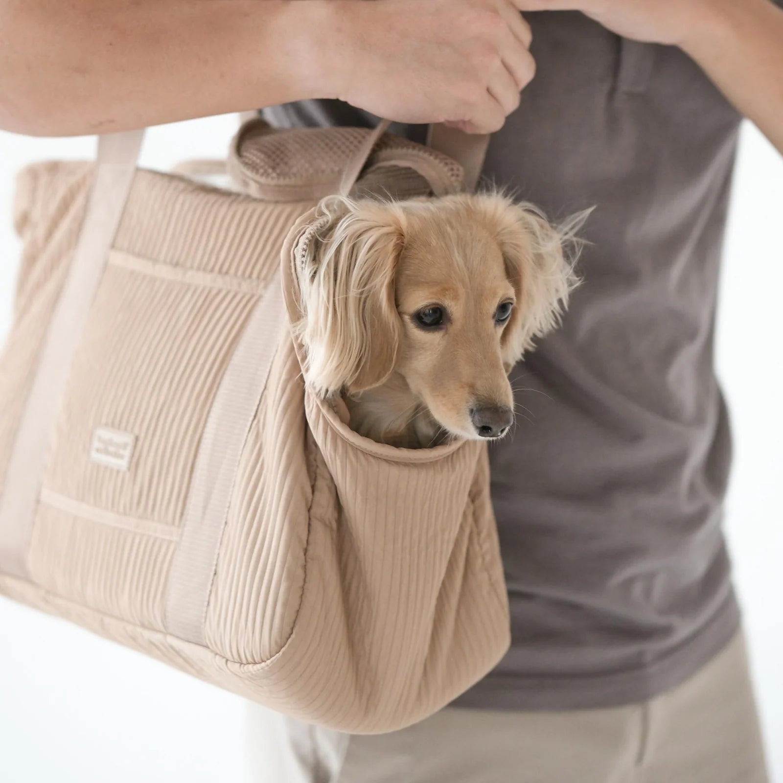 Lambwolf Collective City Pet Carrier
