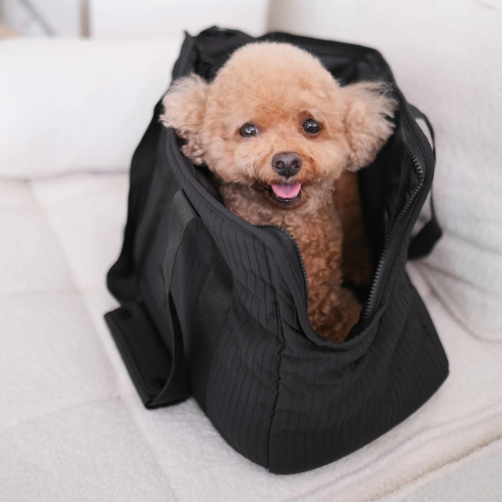 Lambwolf Collective City Pet Carrier