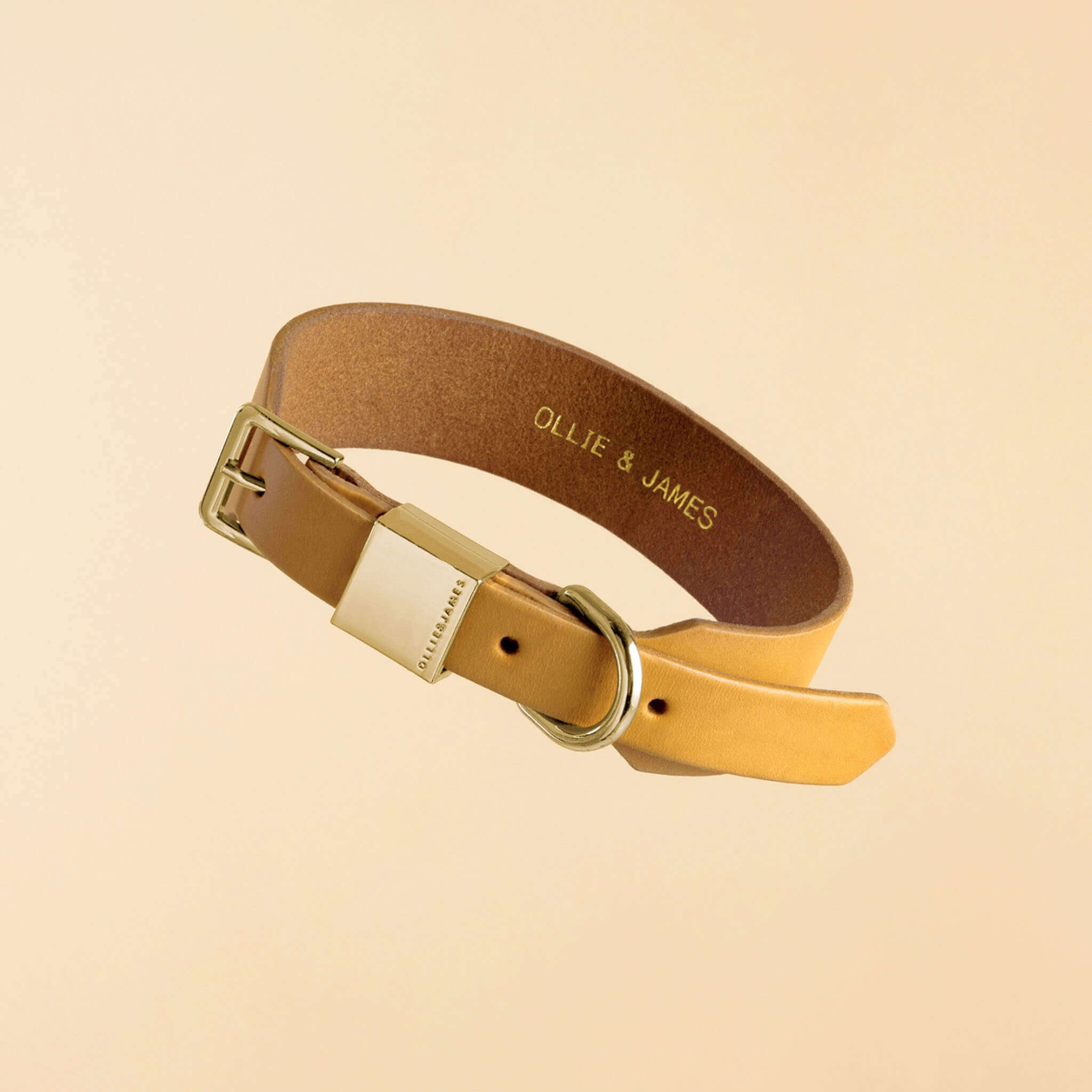 Ollie and James Italian Leather Dog Collar