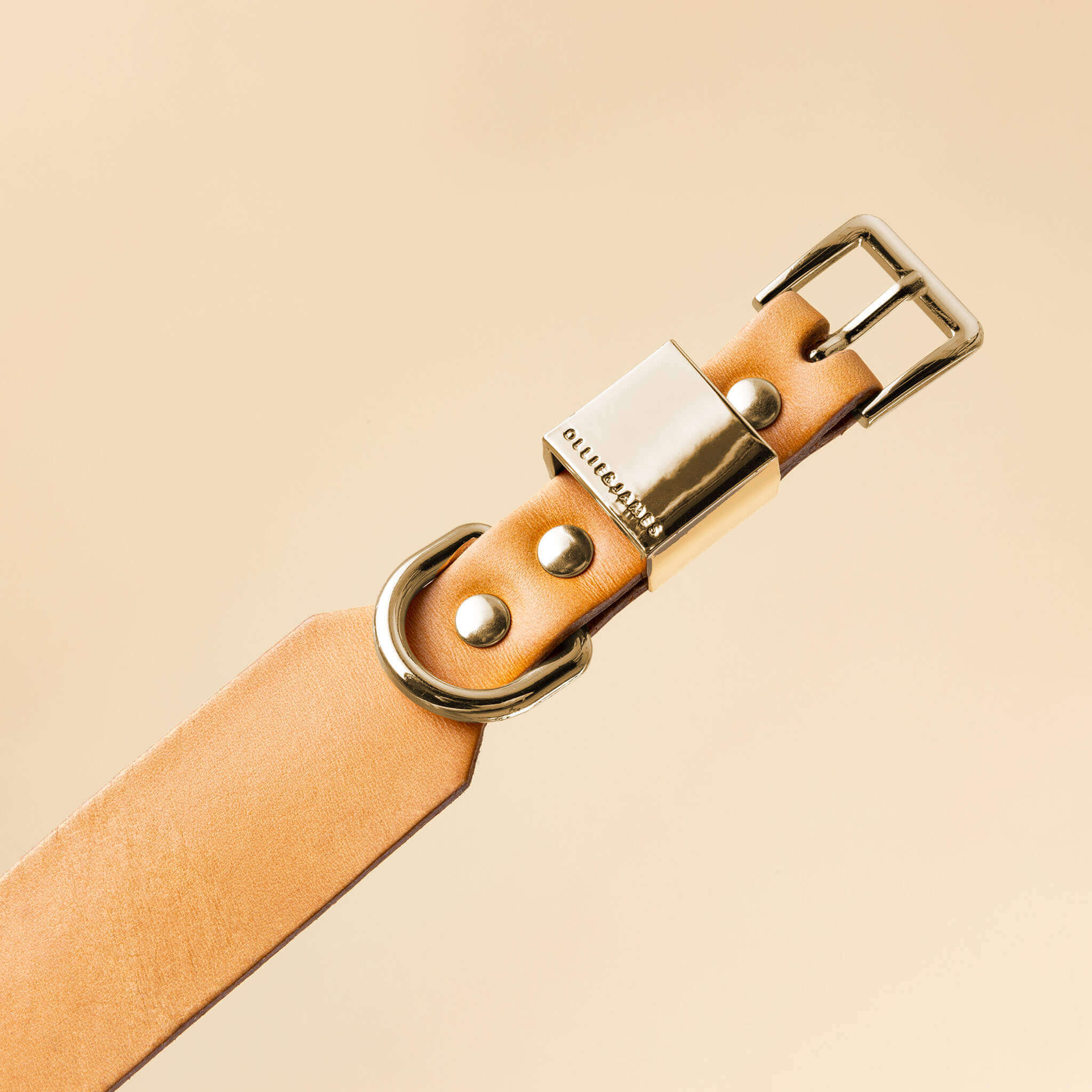 Ollie and James Italian Leather Dog Collar