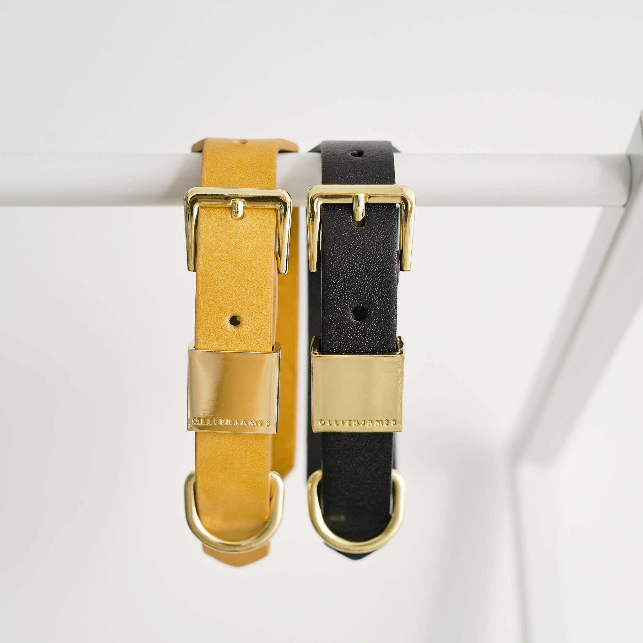 Ollie and James Italian Leather Dog Collar