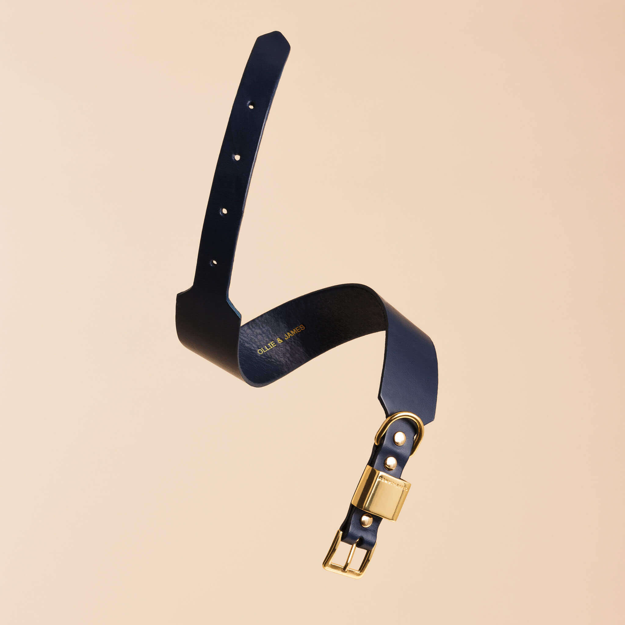 Ollie and James Italian Leather Dog Collar