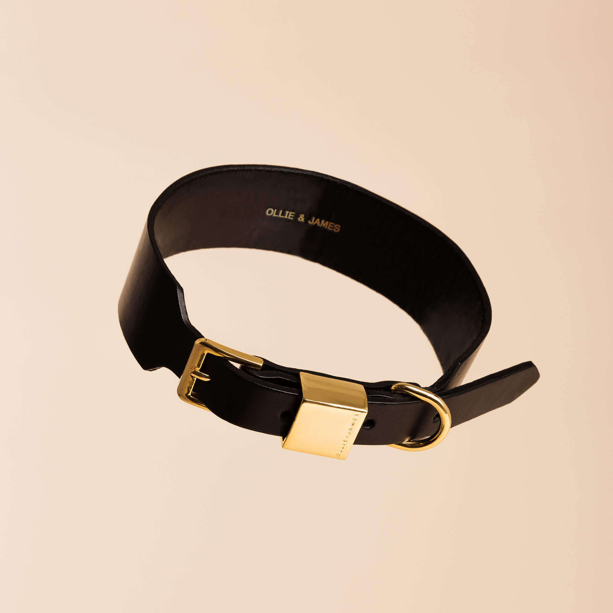Ollie and James Italian Leather Dog Collar