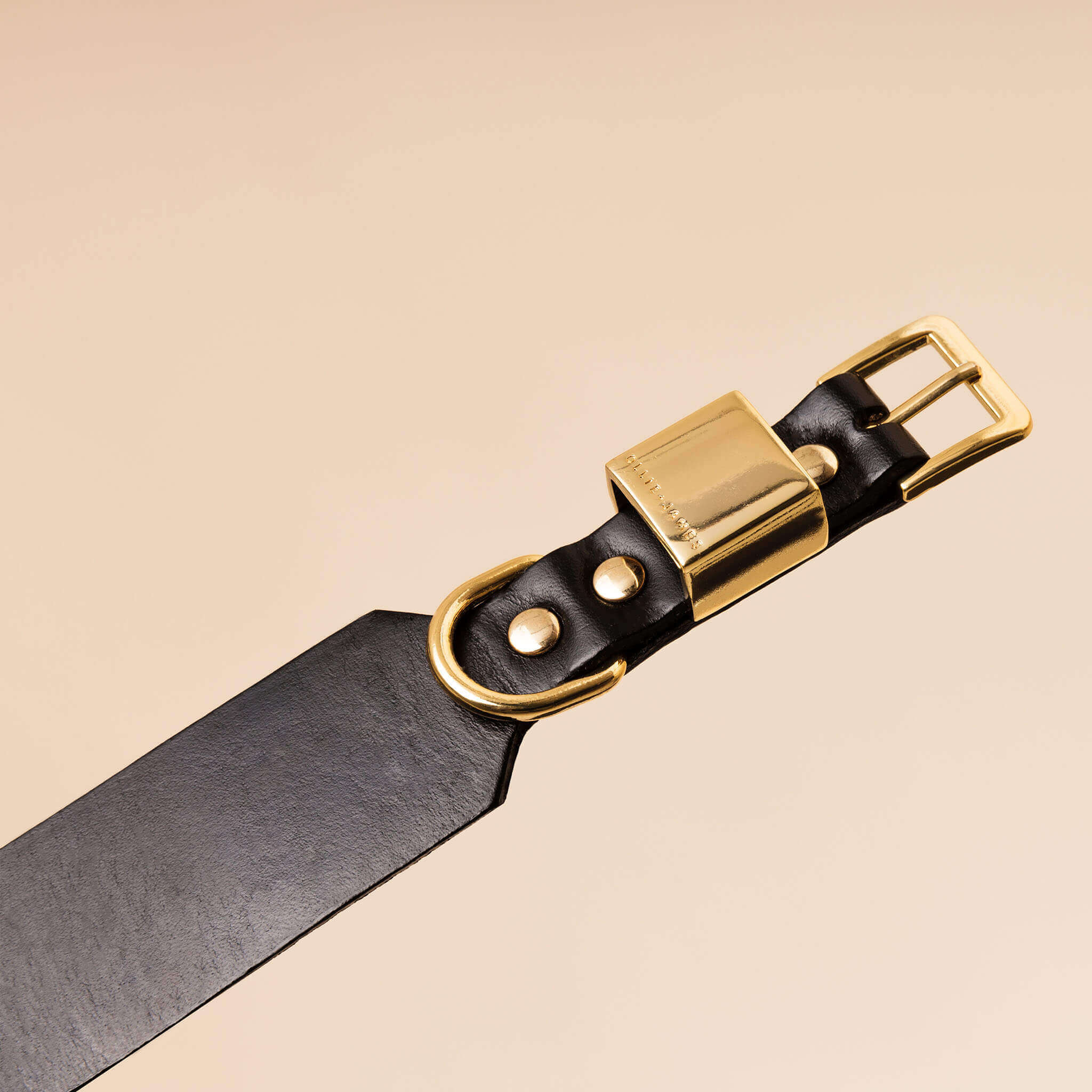 Ollie and James Italian Leather Dog Collar