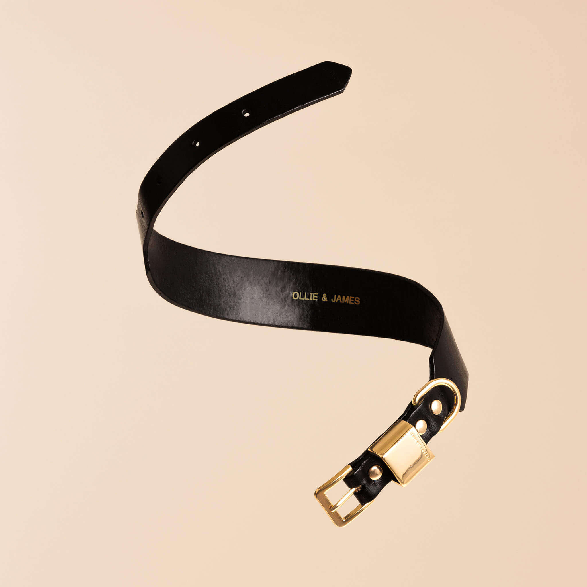 Ollie and James Italian Leather Dog Collar
