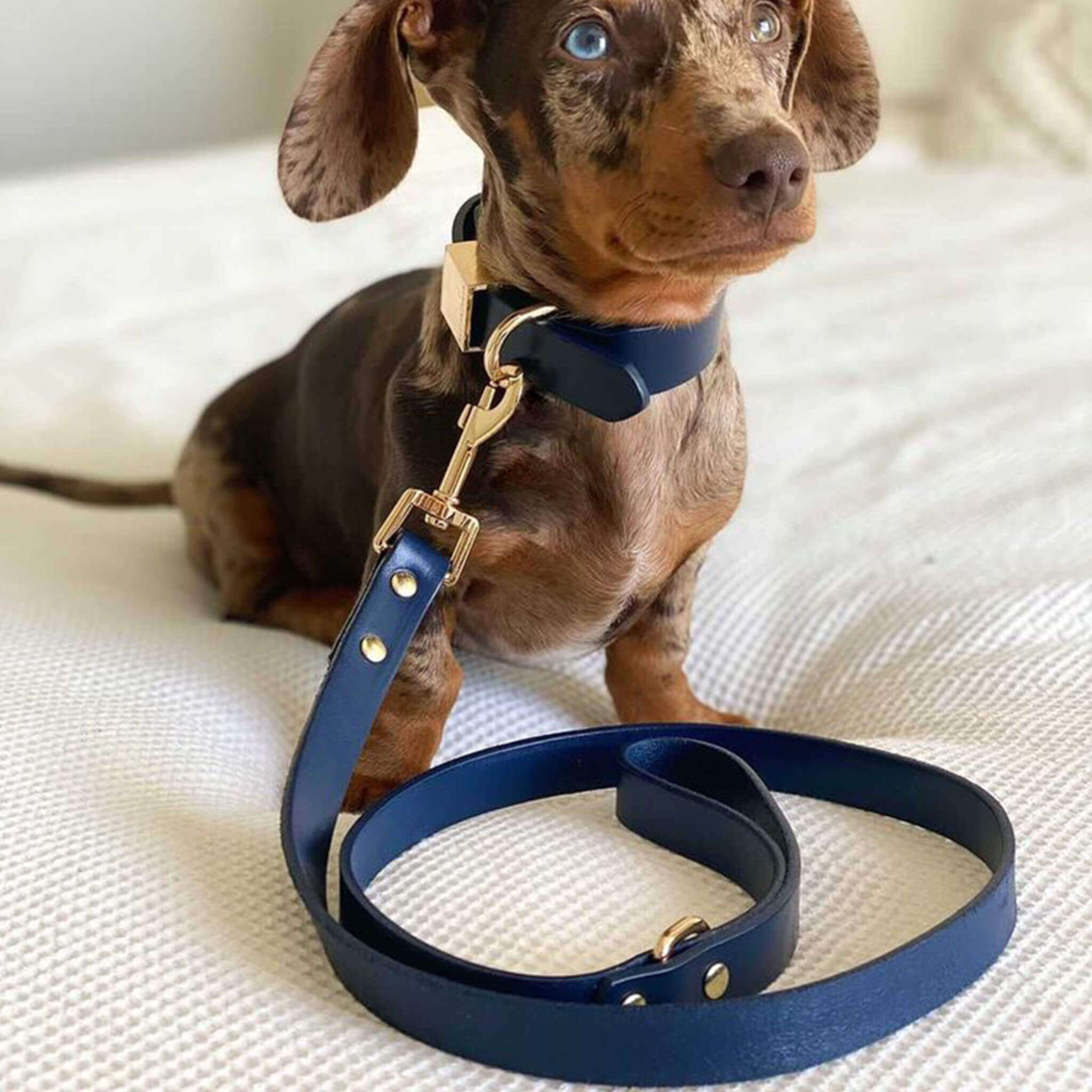 Ollie and James Italian Leather Dog Lead