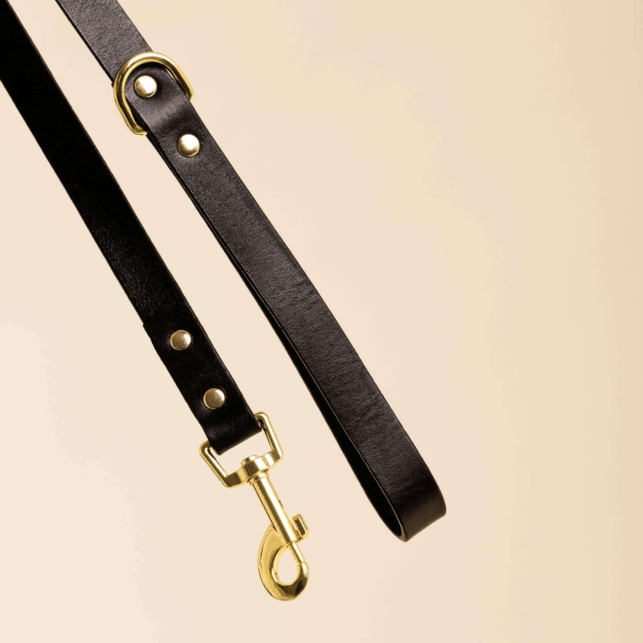 Ollie and James Italian Leather Dog Lead