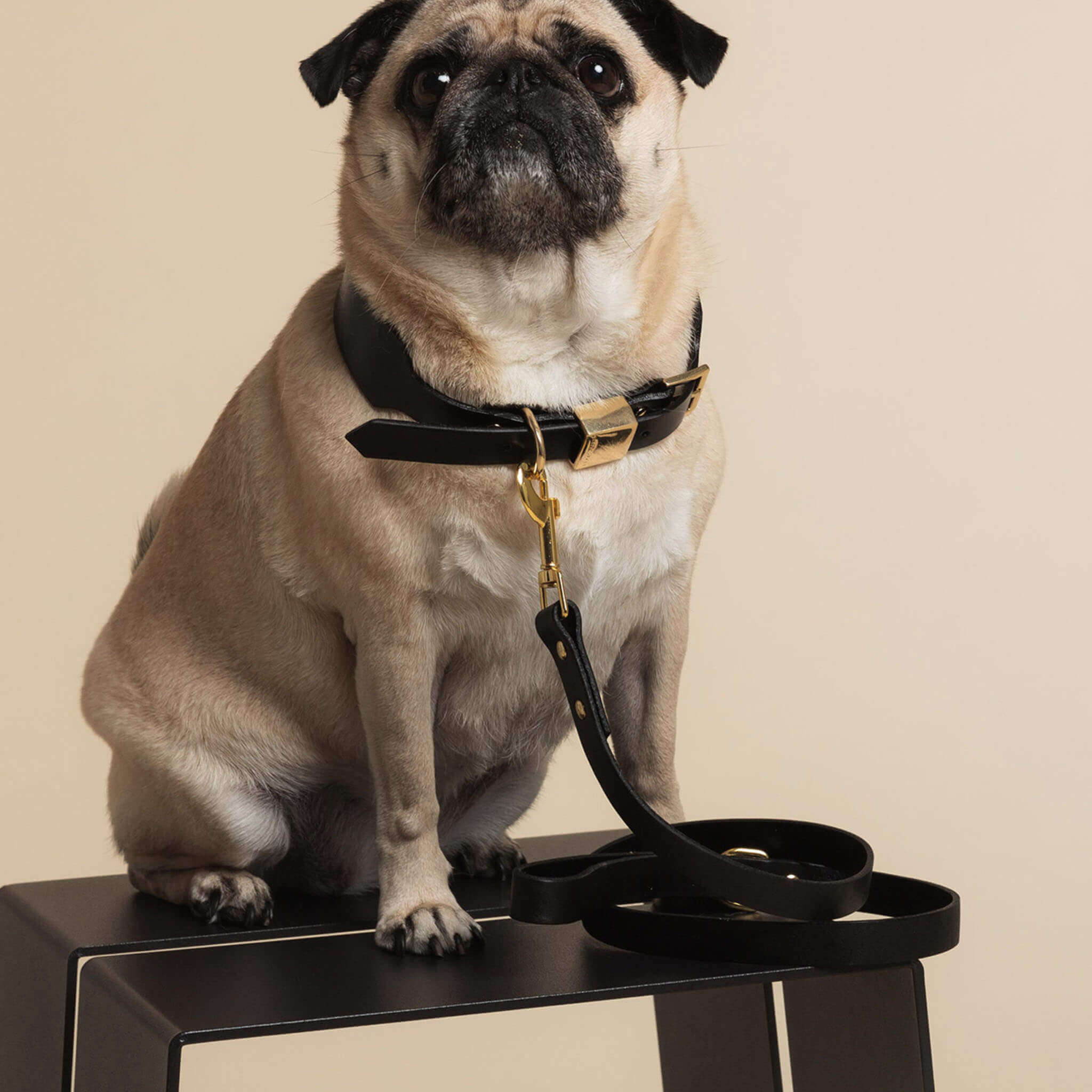 Ollie and James Italian Leather Dog Lead