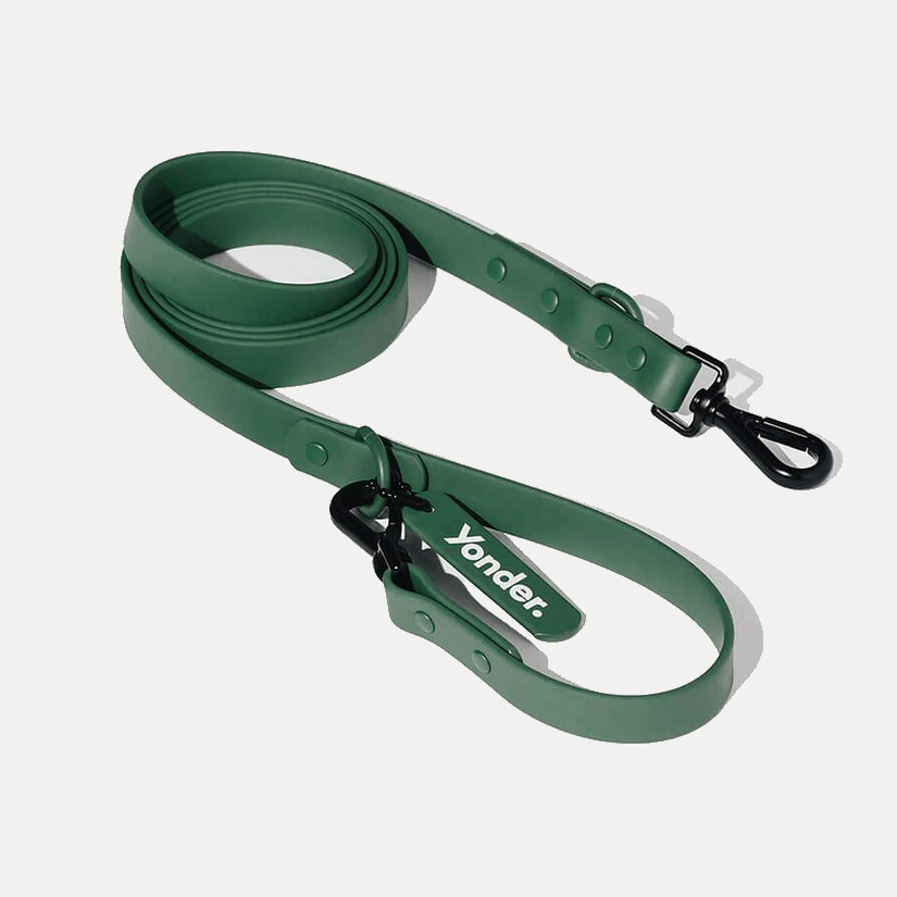 Yonder Lead