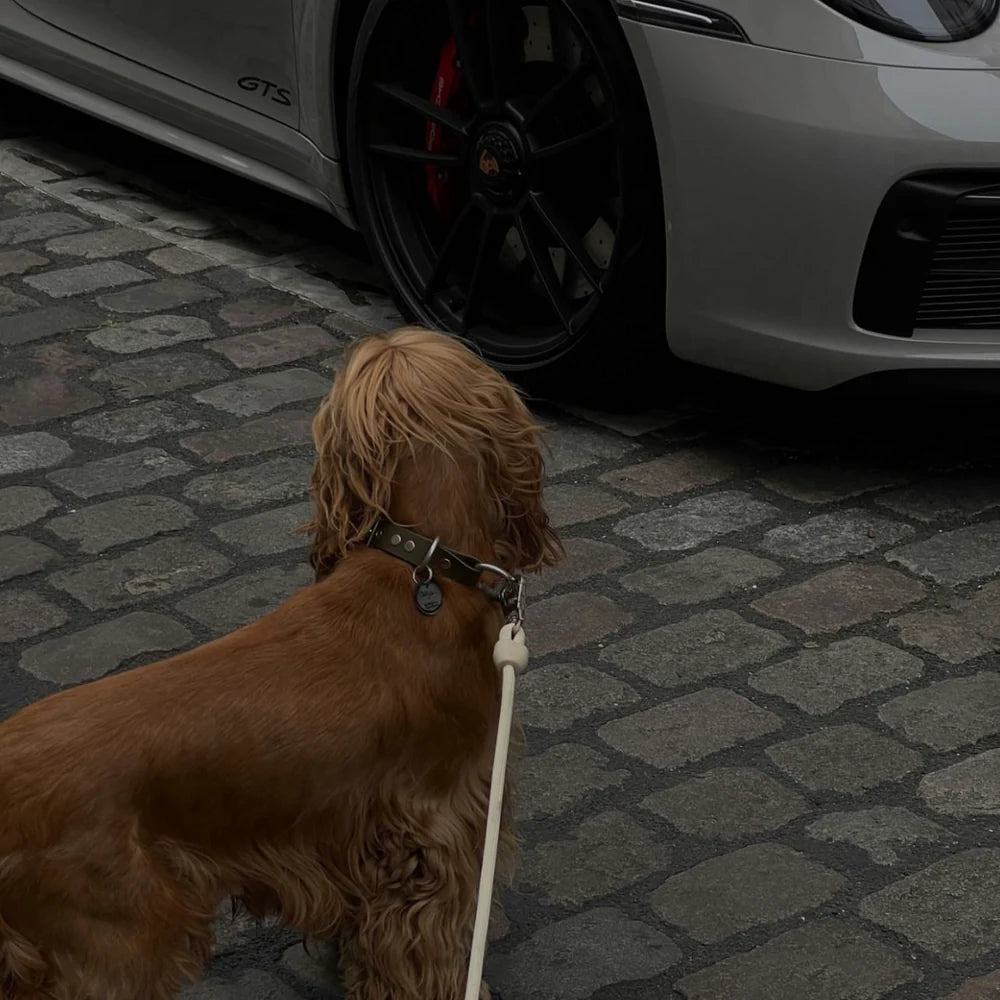 St Argo Hands-Free Lead