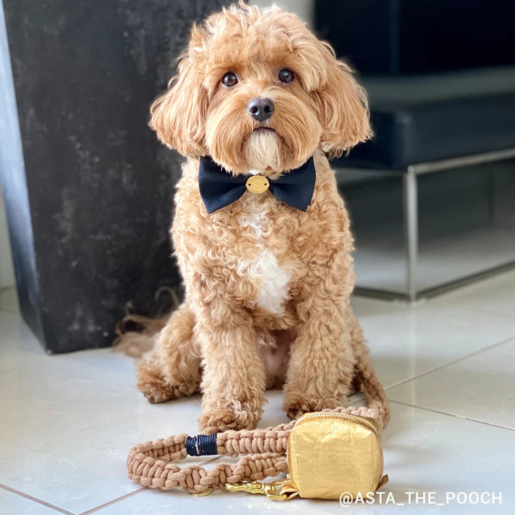 Sebastian Says Macramé Originals Dog Lead