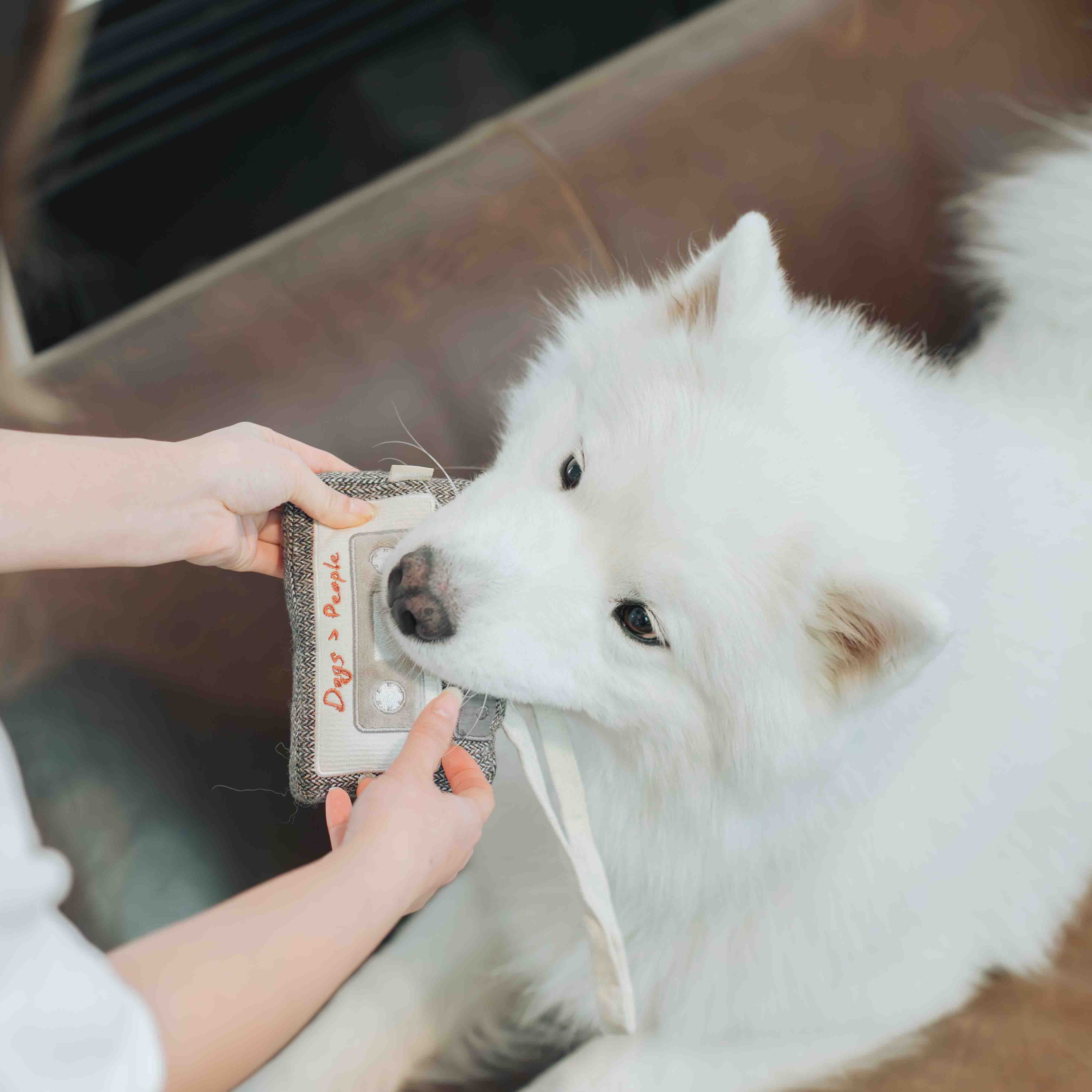 Lambwolf Collective - Cassette