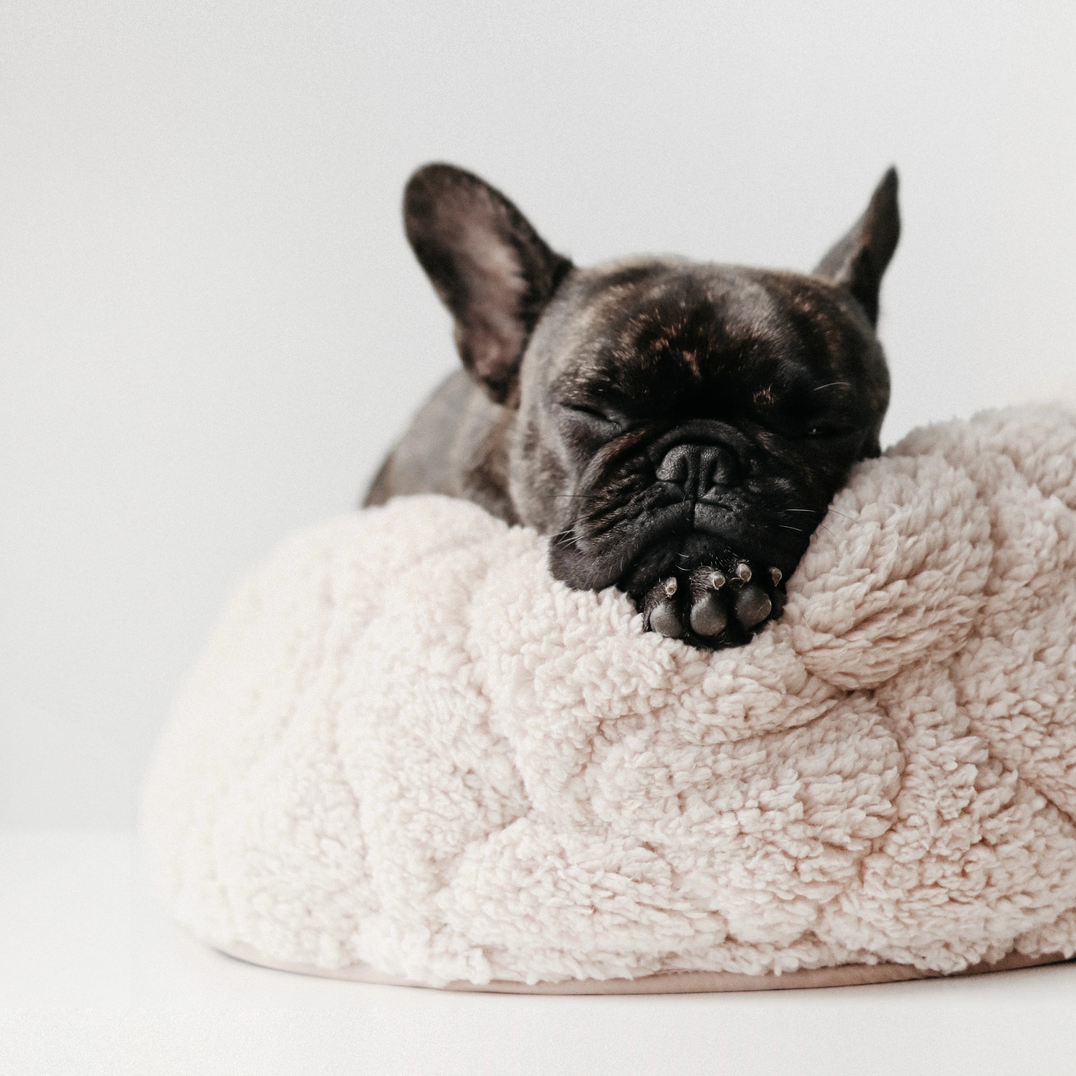 Lambwolf Collective - Reversible Donut Bed