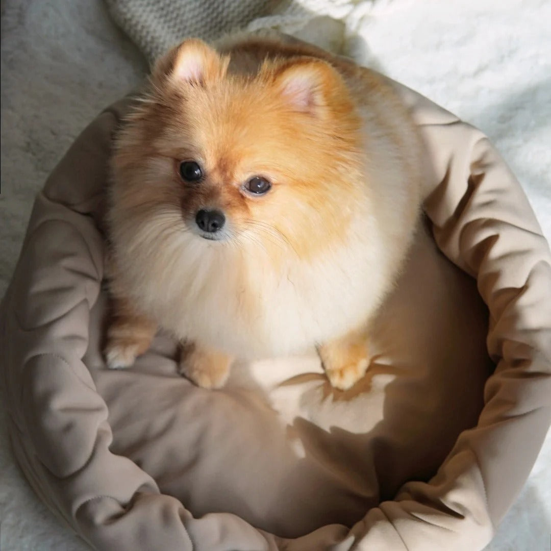 Lambwolf Collective - Reversible Donut Bed