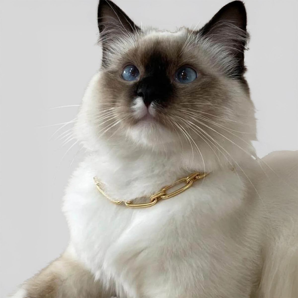 The Animals Rosalina Necklace