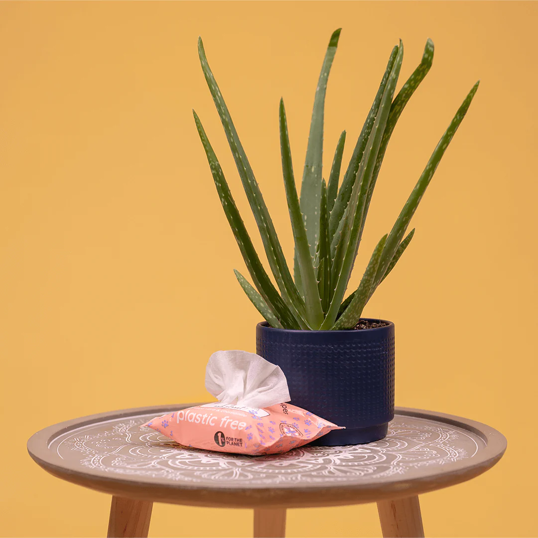 Adios Compostable Pet Wipes