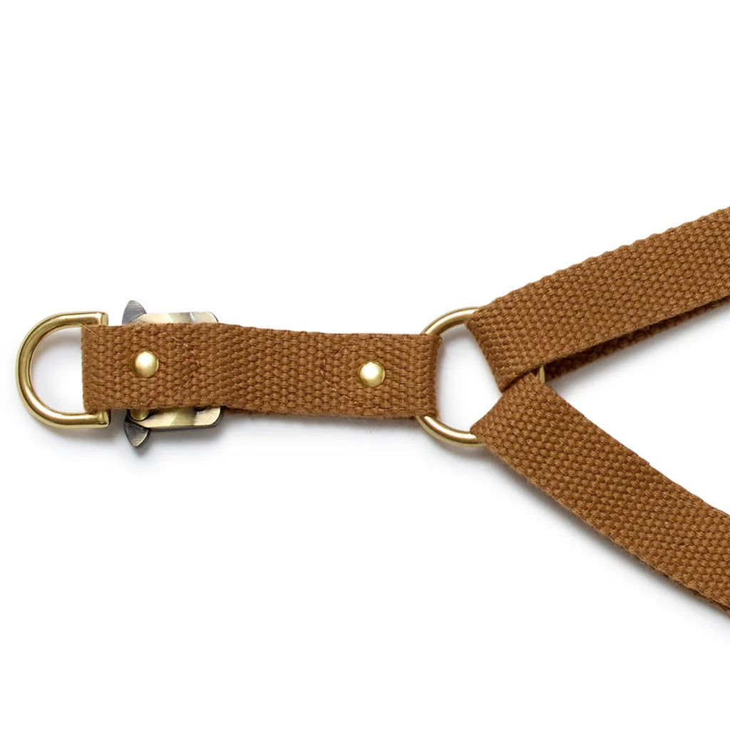 Sebastian Says Webbing Step In Harness