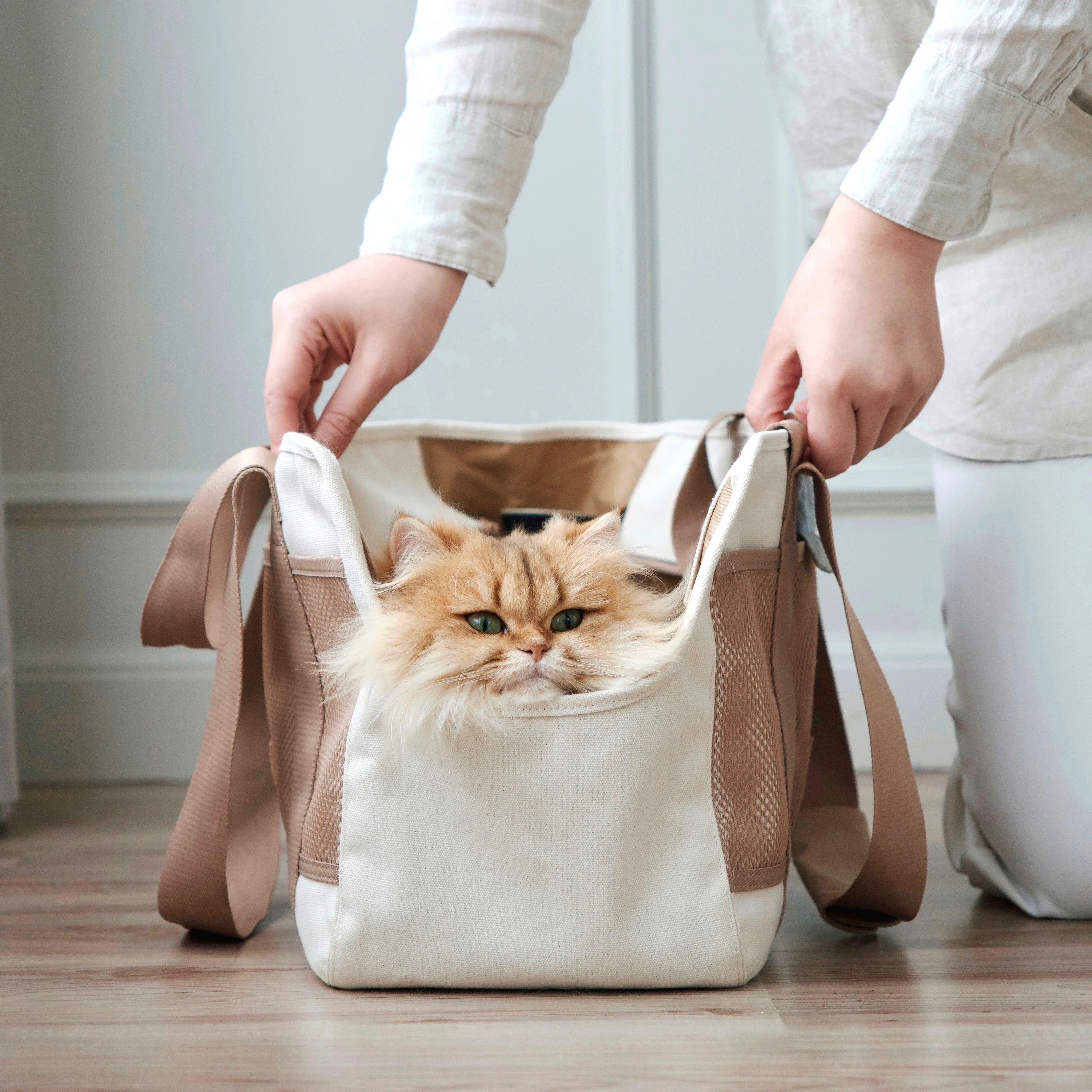Lambwolf Collective - Subway Pet Carrier