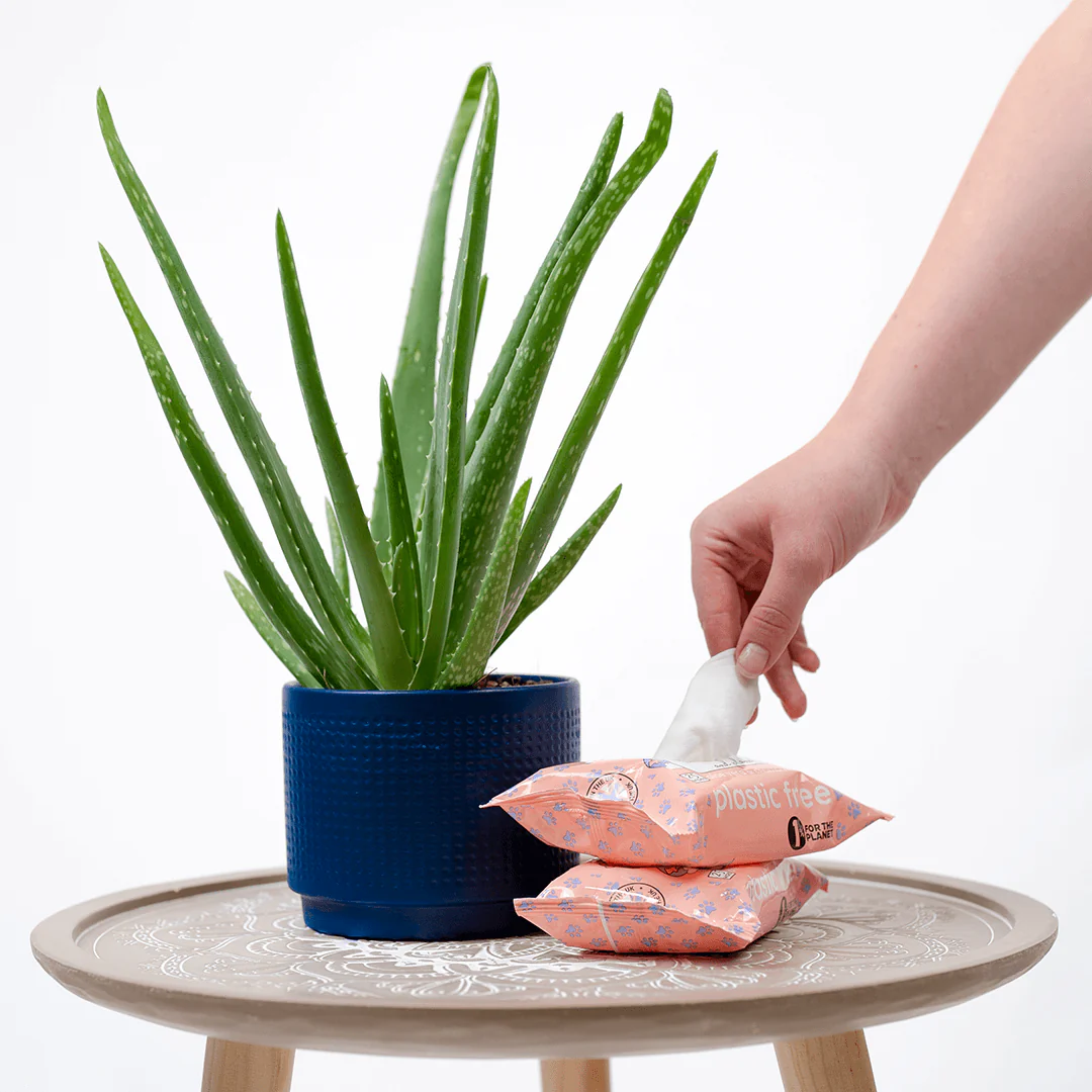Adios Compostable Pet Wipes