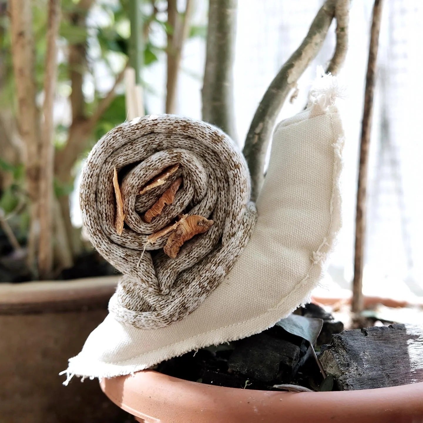 Lambwolf Collective - Snail Enrichment