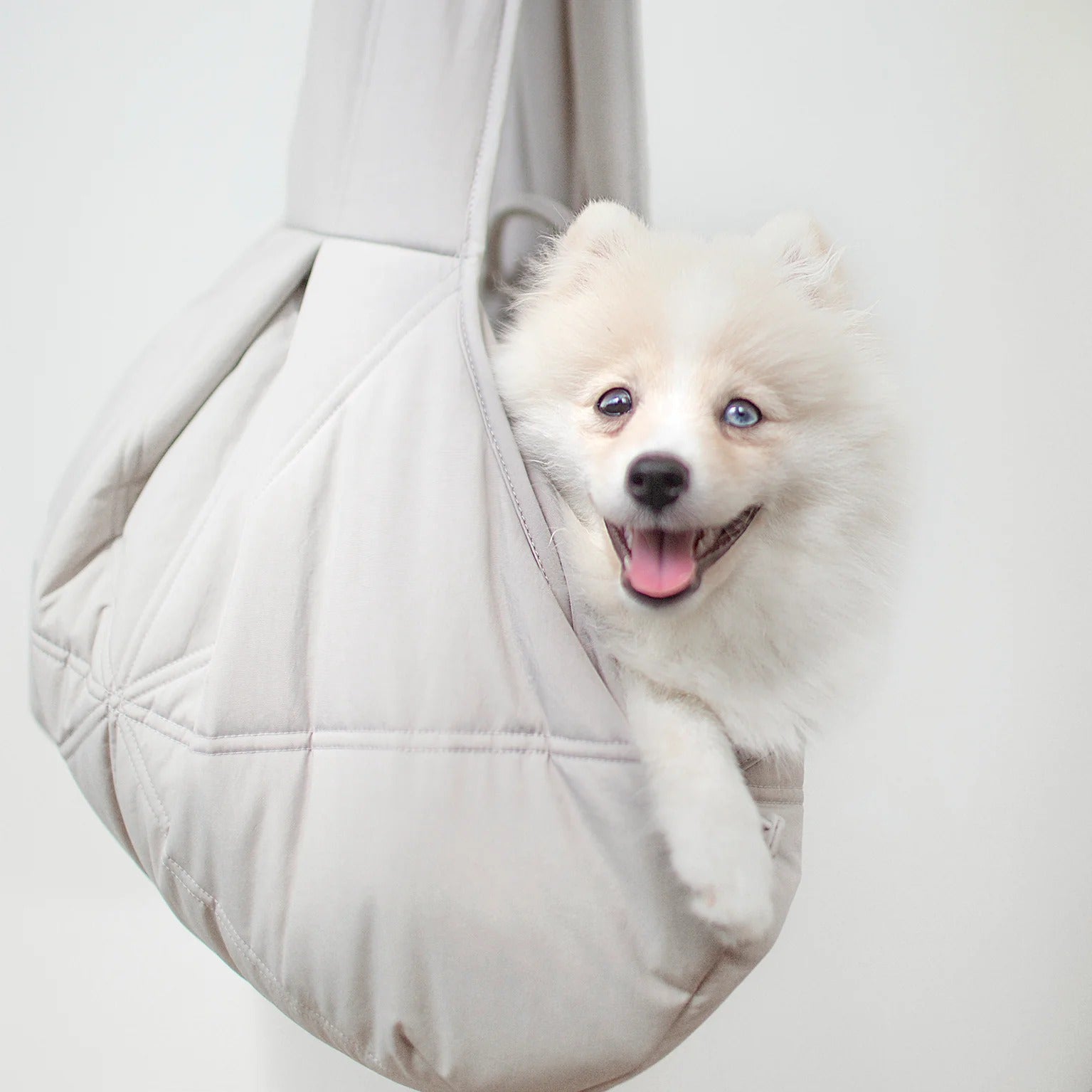 Lambwolf Collective - Olla Petite Pet Carrycot