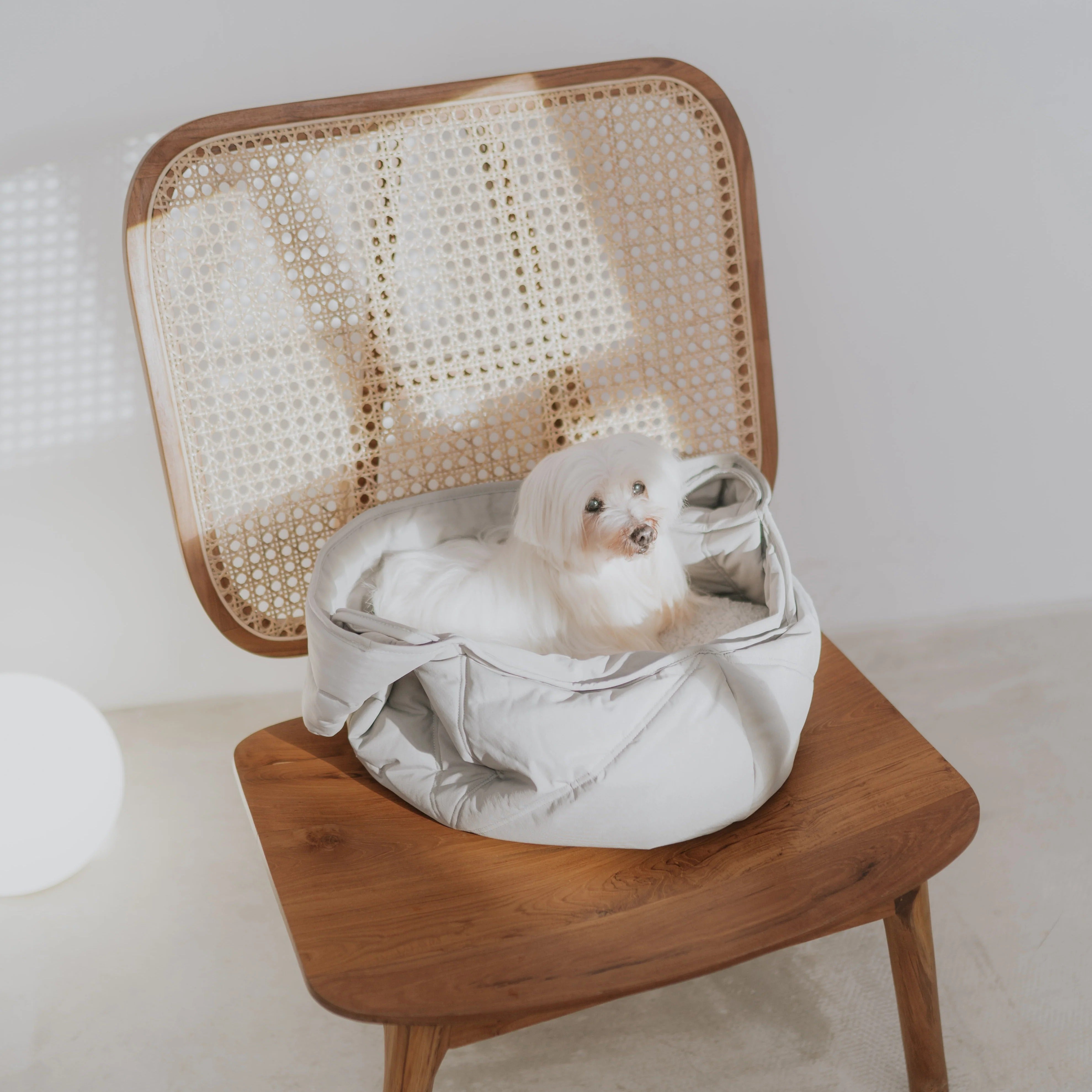 Lambwolf Collective - Olla Petite Pet Carrycot