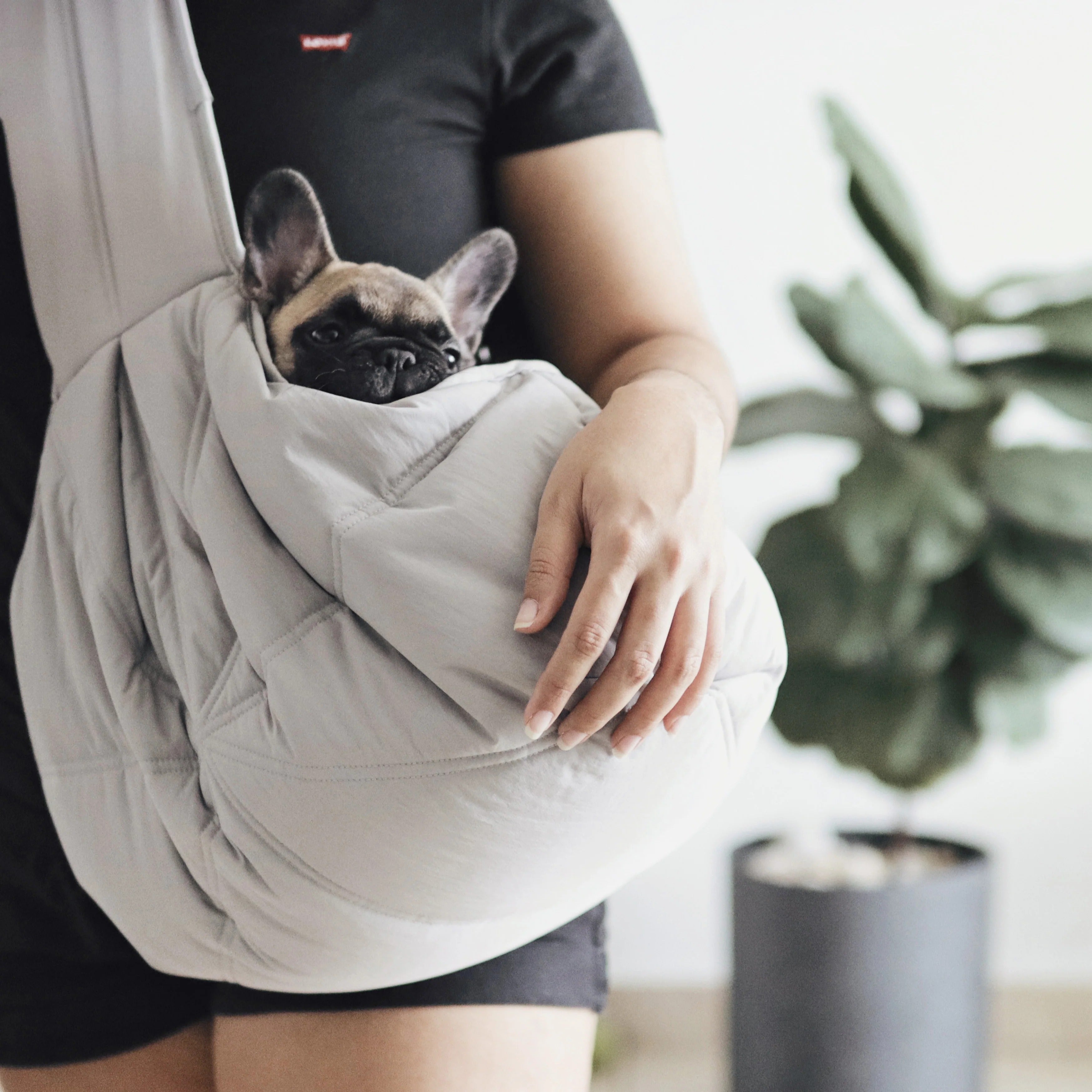 Lambwolf Collective - Olla Petite Pet Carrycot